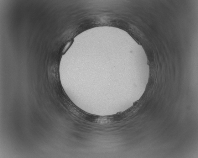 X0000060260425200511241432