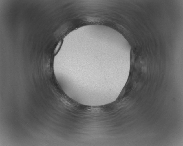 X0000060260428200511241432