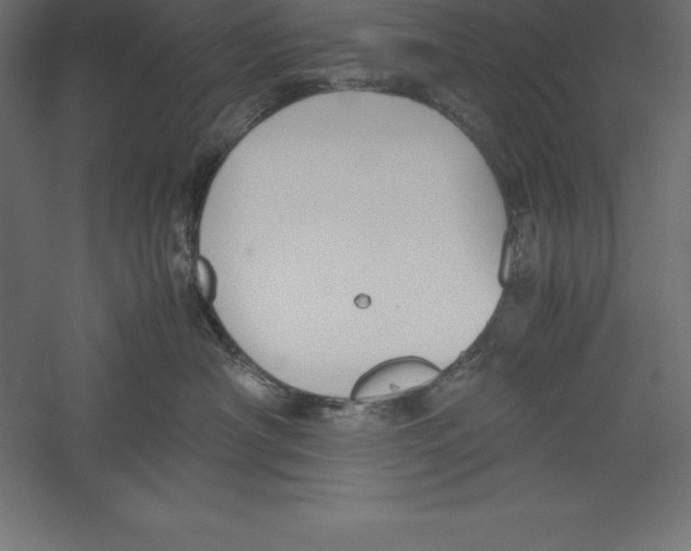 X0000060260430200511241432