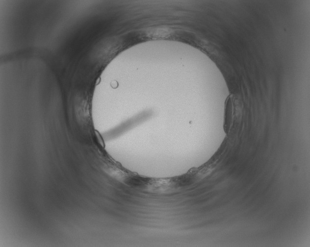 X0000060260431200511241432