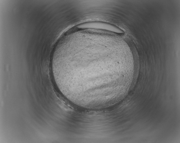 X0000060260434200511241431