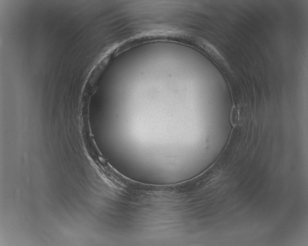 X0000060260436200511241432