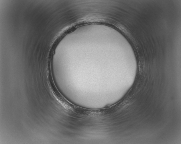 X0000060260438200511241432