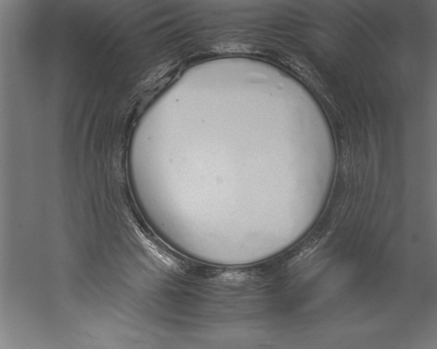 X0000060260441200511241432