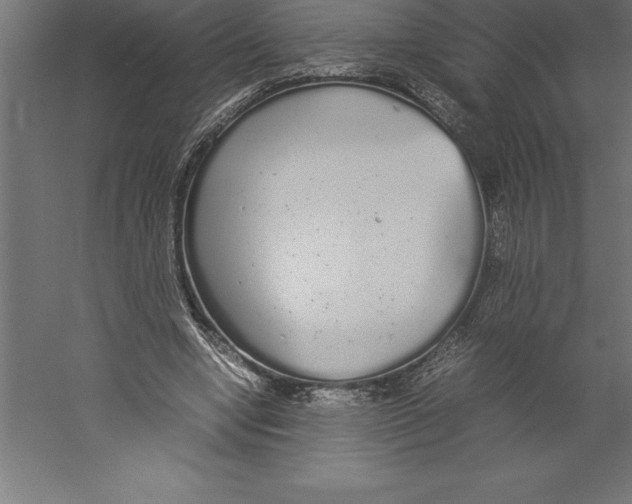 X0000060260442200511241432