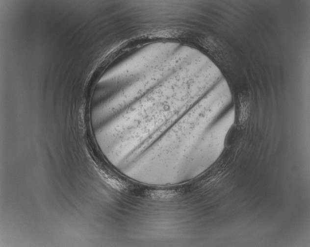 X0000060260444200511241432