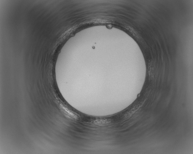 X0000060260445200511241432