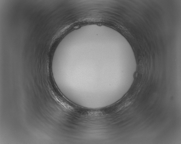 X0000060260446200511241432