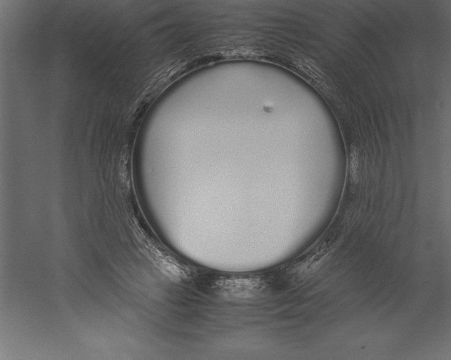 X0000060260449200511241432