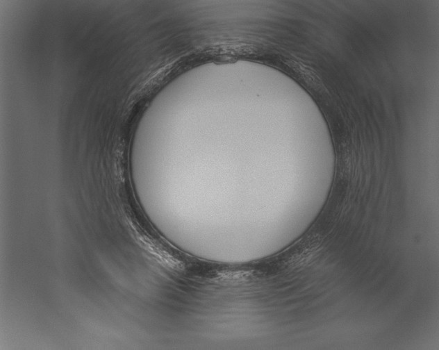 X0000060260450200511241432