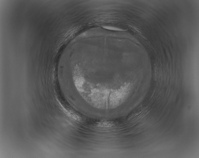 X0000060260451200511241432