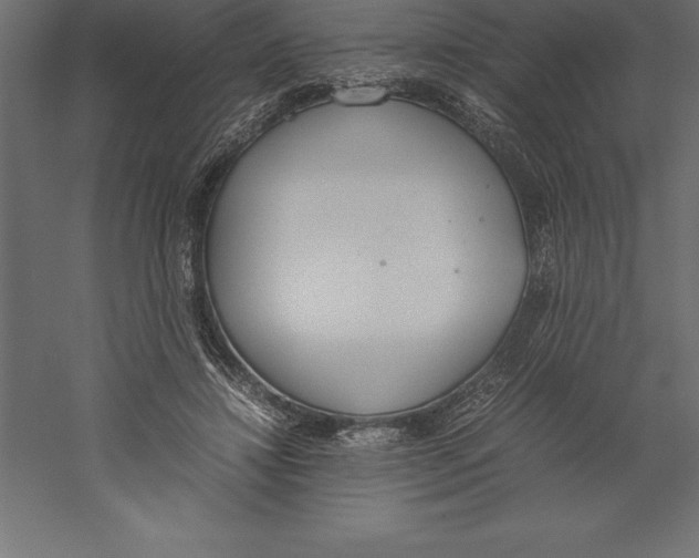 X0000060260452200511241432