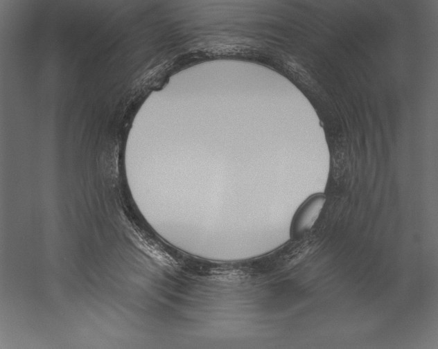 X0000060260454200511241432