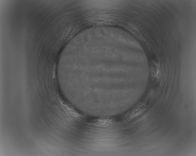 X0000060260458200511241432