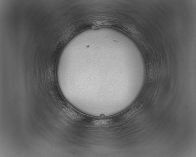 X0000060260461200511241432