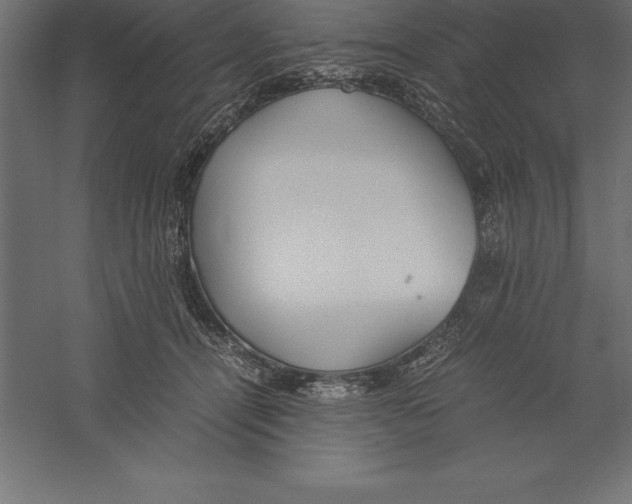 X0000060260464200511241432