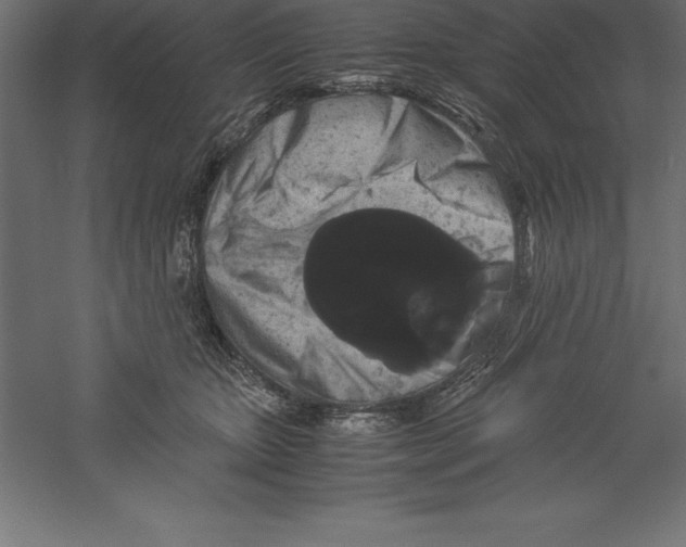 X0000060260467200511241432