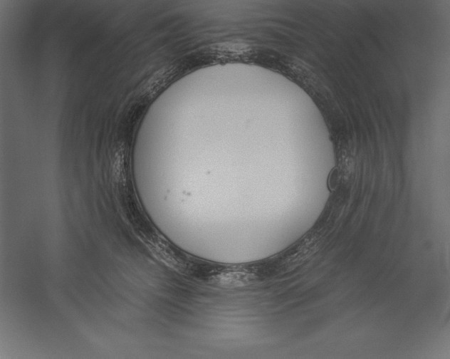 X0000060260468200511241432