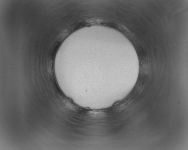 X0000060260477200511241432