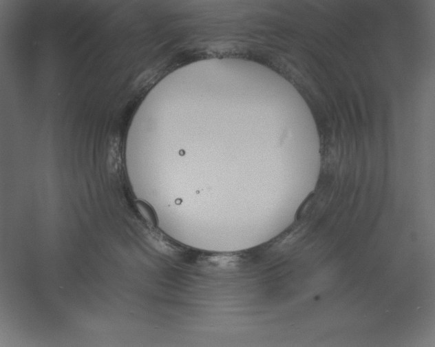 X0000060260478200511241432