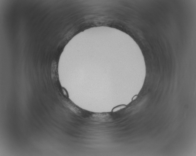 X0000060260480200511241432