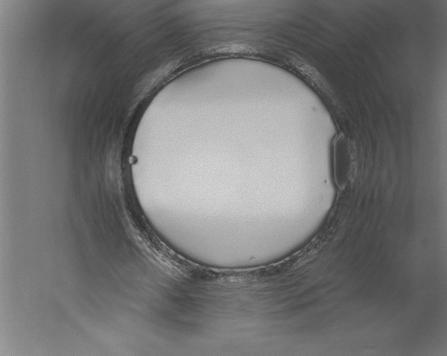 X0000060260482200511241431