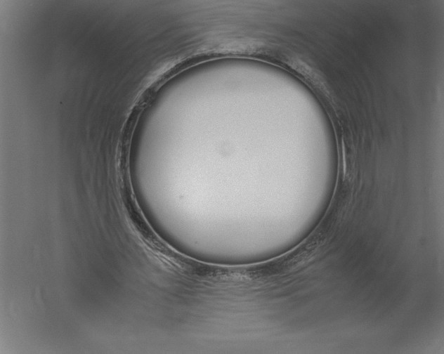 X0000060260483200511241431