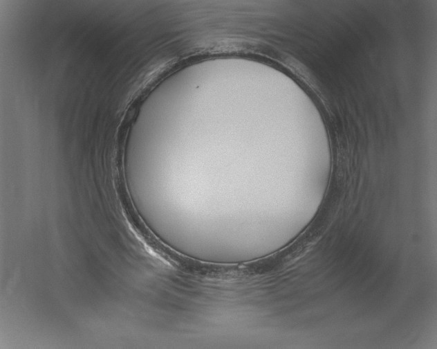 X0000060260485200511241431