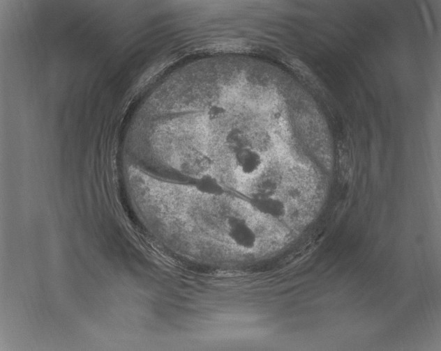 X0000060260487200511241431