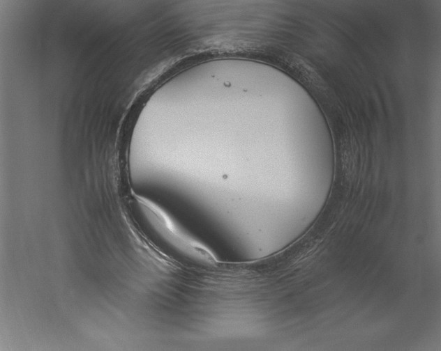 X0000060260488200511241431