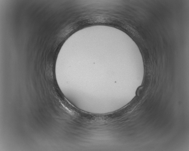 X0000060260489200511241431