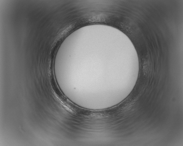 X0000060260490200511241431