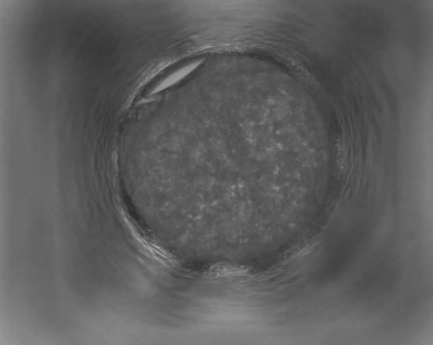 X0000060260491200511241431