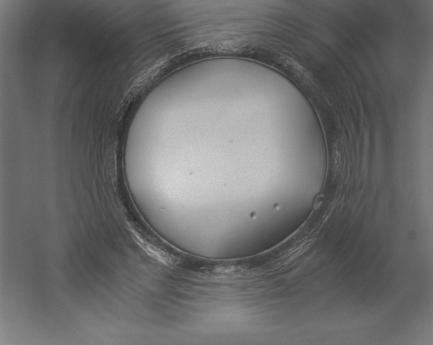 X0000060260493200511241431