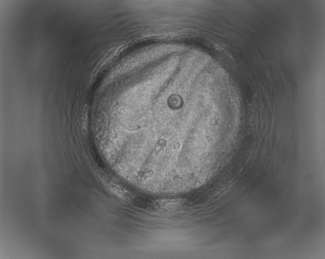 X0000060260495200511241431