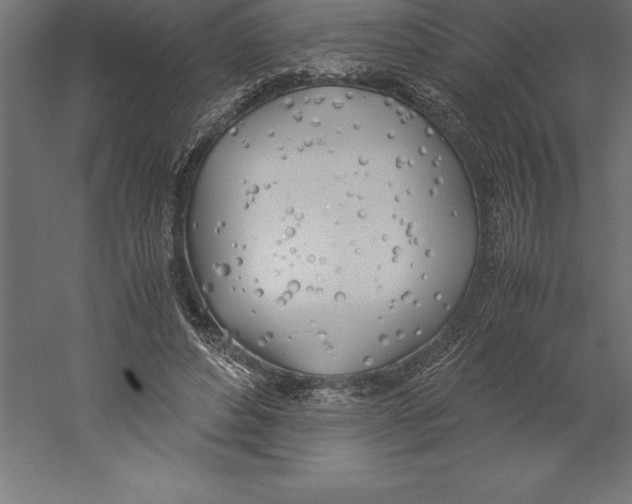 X0000060260496200511241431