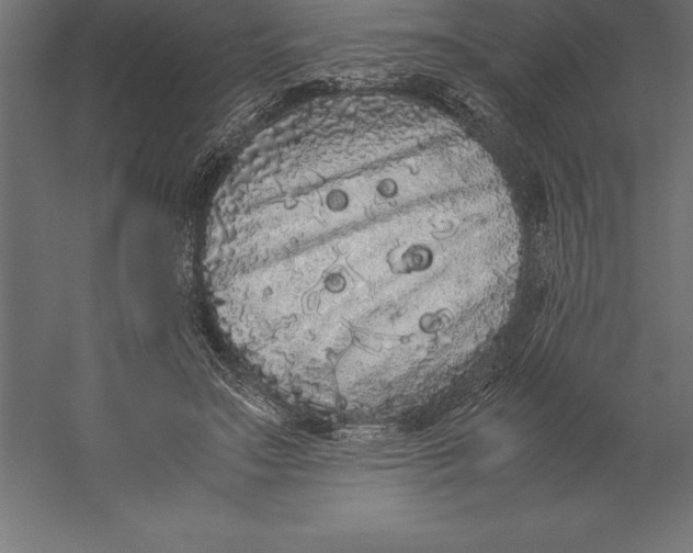 X0000060260499200511241431