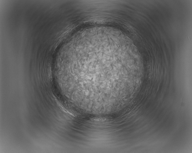 X0000060260500200511241431