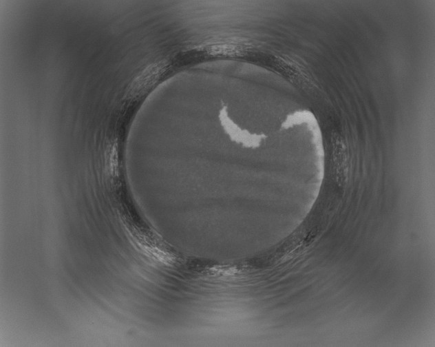 X0000060260502200511241431