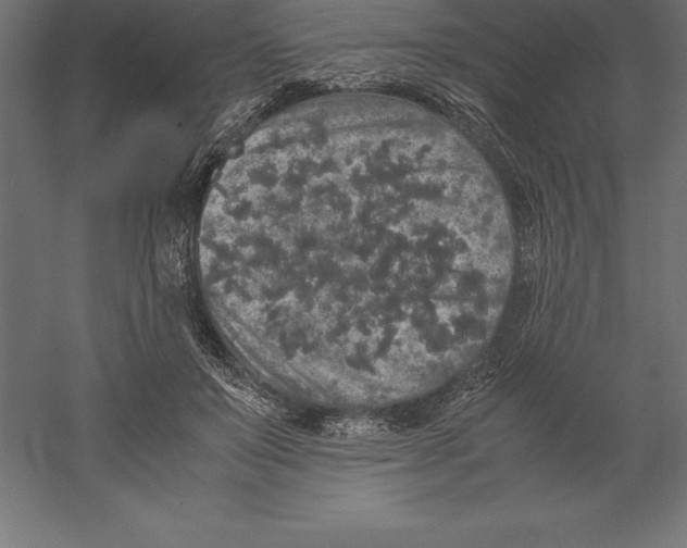 X0000060260503200511241431