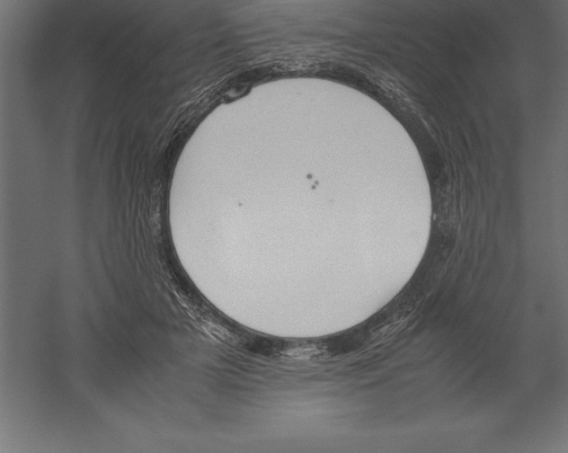 X0000060260505200511241431