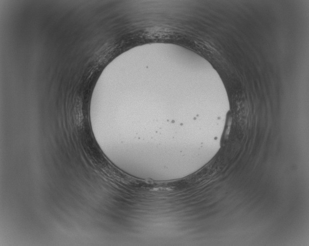 X0000060260508200511241431