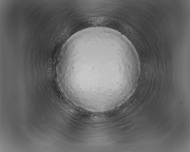 X0000060260510200511241431