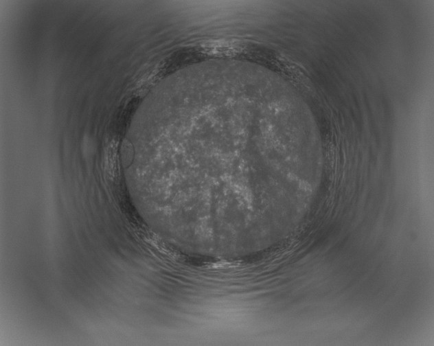 X0000060260511200511241431