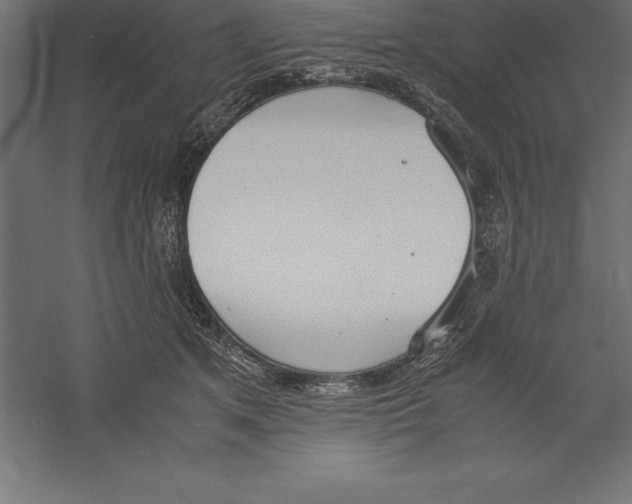 X0000060260513200511241431