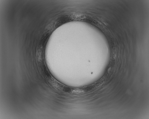 X0000060260515200511241431