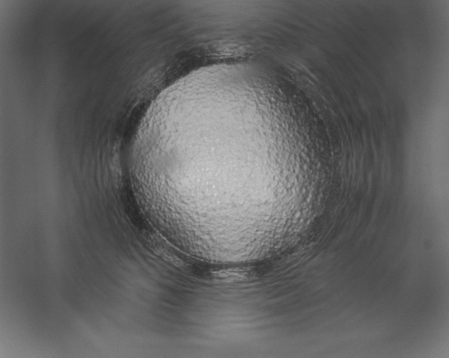 X0000060260516200511241431