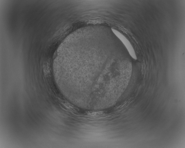 X0000060260517200511241431