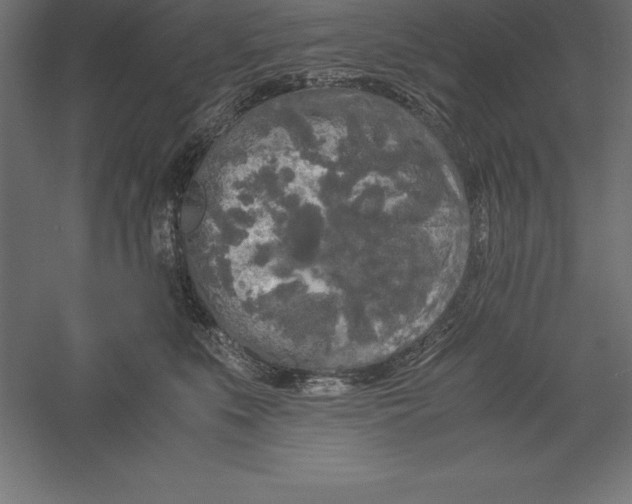 X0000060260519200511241431