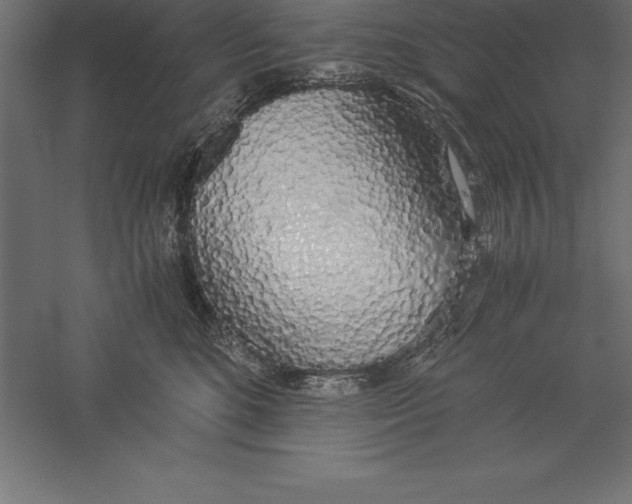 X0000060260520200511241431